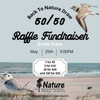 5050 raffle
