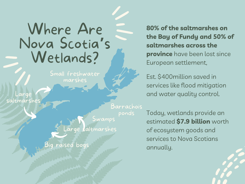 The Bay of Fundy and Its Wetlands (Canada)