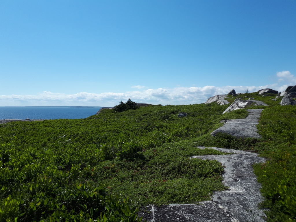 Peggy's Cove Preservation Area, less well known as West Dover Provincial Park