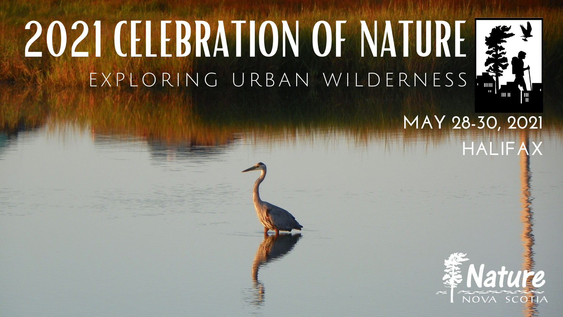 The 2021 Celebration of Nature is Here! | Nature Nova Scotia