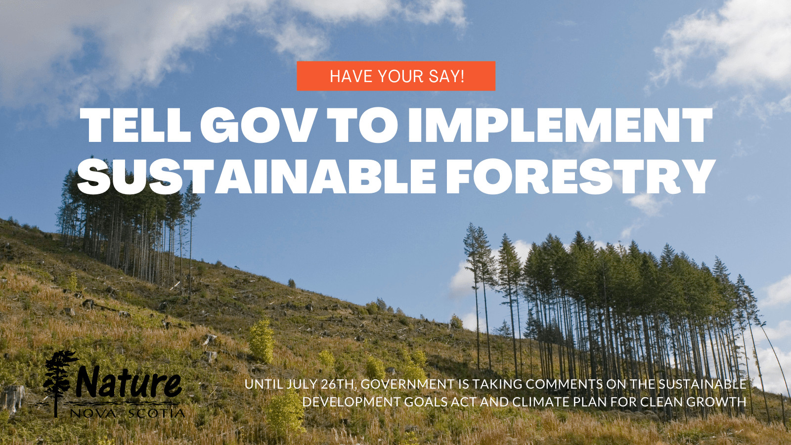 Tell Nova Scotia It's Time to Implement Sustainable Forestry | Nature ...