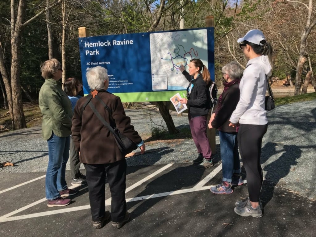 Birders gathering at Hemlock Ravine, captured by Kathryn Morse