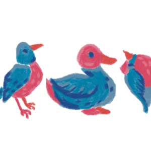 Valentines For Nature! Send A Bird Card