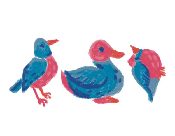 Valentines For Nature! Send A Bird Card